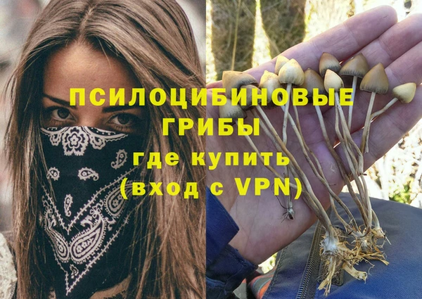 амф Алексин