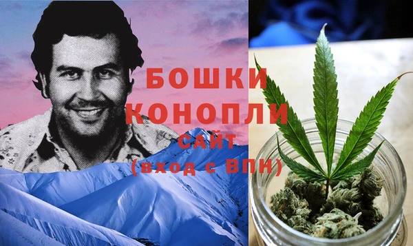индика Покров