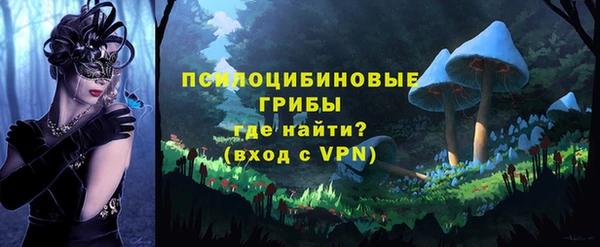амф Алексин