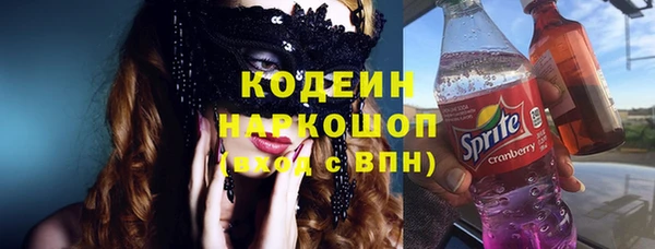 амф Алексин
